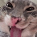 T_ Emote