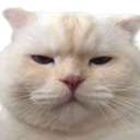 SCsigh Emote