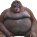 uhoh Emote