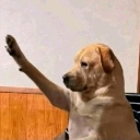 emoji_1 Emote