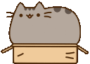 PusheenBox Emote