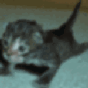 emoji_254 Emote