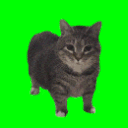 uiiauiia Emote