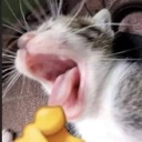 emoji_13 Emote