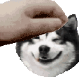 emoji_12 Emote