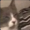 Screenshot20260413211306 Emote