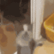 CatYipee Emote