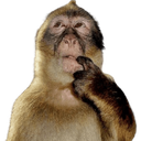 621487monkeythink Emote