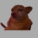 emoji_47 Emote