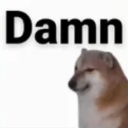 Dammn Emote
