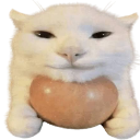 Japorzko Emote