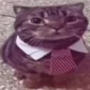 468830catsitting Emote