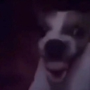 S5B118 Emote