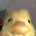 emoji_171 Emote
