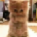 emoji_38 Emote
