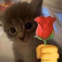 catflower Emote