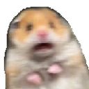 hamsterrr Emote