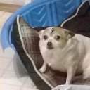emoji_6 Emote