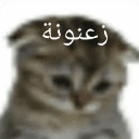 emoji_19 Emote