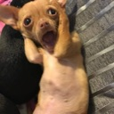 emoji_4 Emote