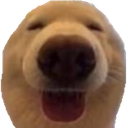 a_doggyhappy Emote