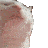 catjam Emote