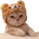 Tired_Nara Emote