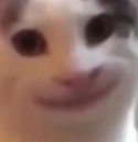 MSH45 Emote