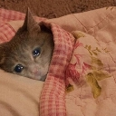 emoji_34 Emote