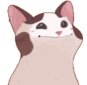 cat_pop Emote