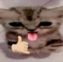 sauve Emote