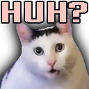 huhcat Emote