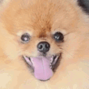 0_TeddyWtf Emote