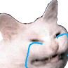 kittysad Emote