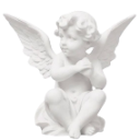 angel Emote