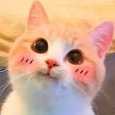 emoji_1 Emote