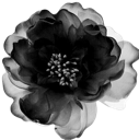 emoji_95 Emote