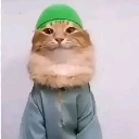 halalcat Emote