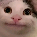 Lesbian Emote