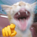 OIP1 Emote