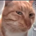 hmmkyaa Emote