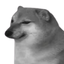 aacha Emote