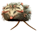 Mirefolk Emote