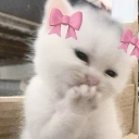 Xieron_stolen_emoji_1779296720 Emote