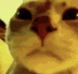 B_ravecat Emote