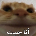 emoji_21 Emote
