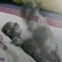 ded Emote