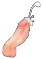 5_cumming Emote