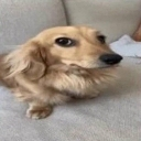 emoji_130 Emote