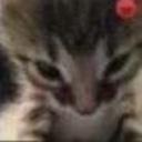 emoji_28 Emote